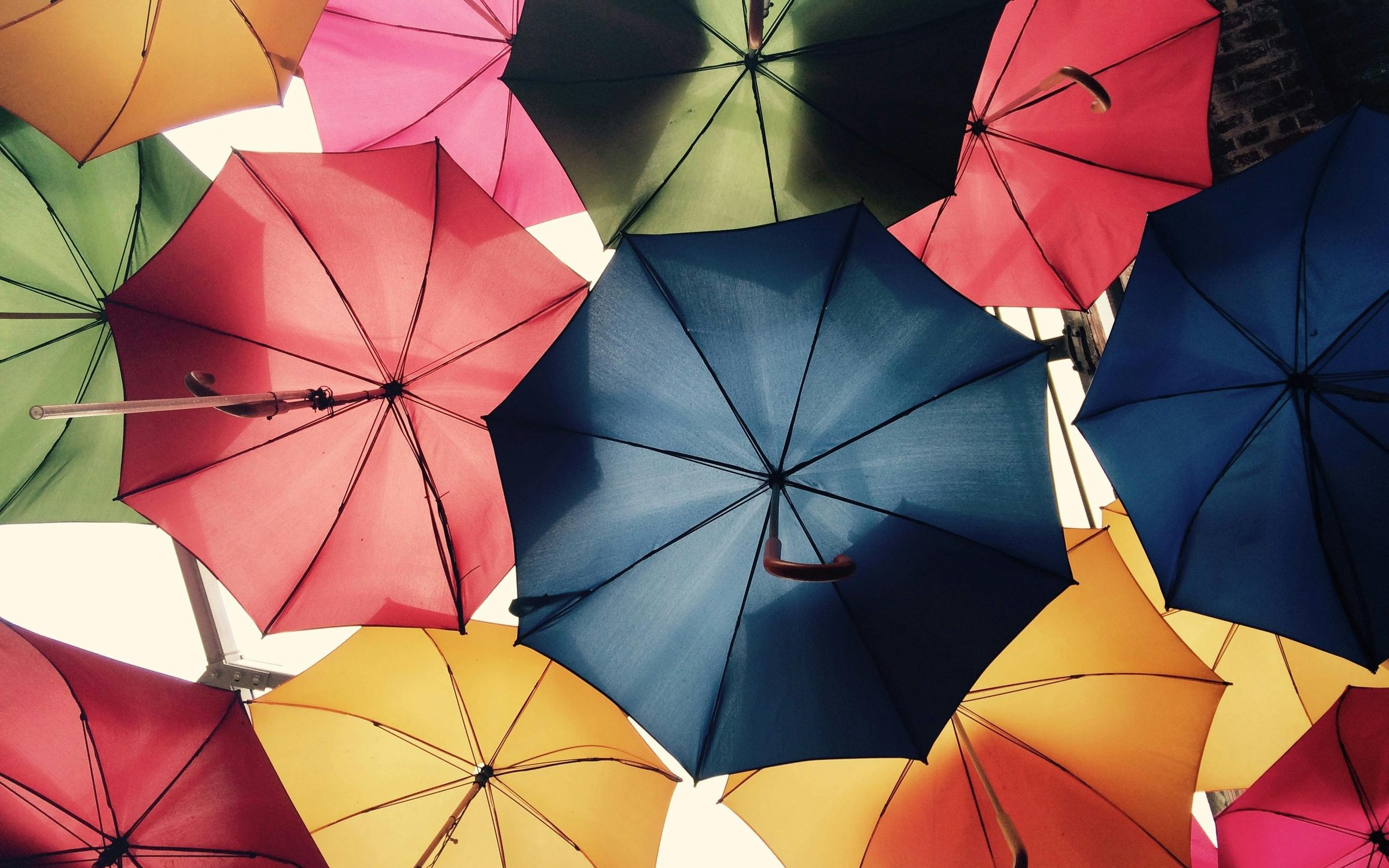 Open umbrellas overlapping overhead
